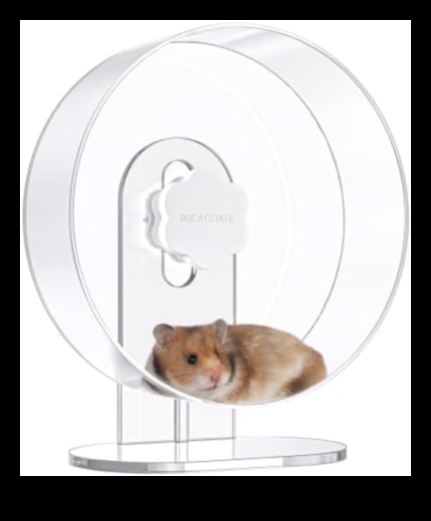 Repere ale hamsterilor Continuare: extinderea dulapului plin de farmec al micului rozător