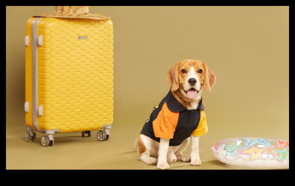 Pawsome Fashion: accesorii la modă pentru animale de companie pentru fiecare ocazie