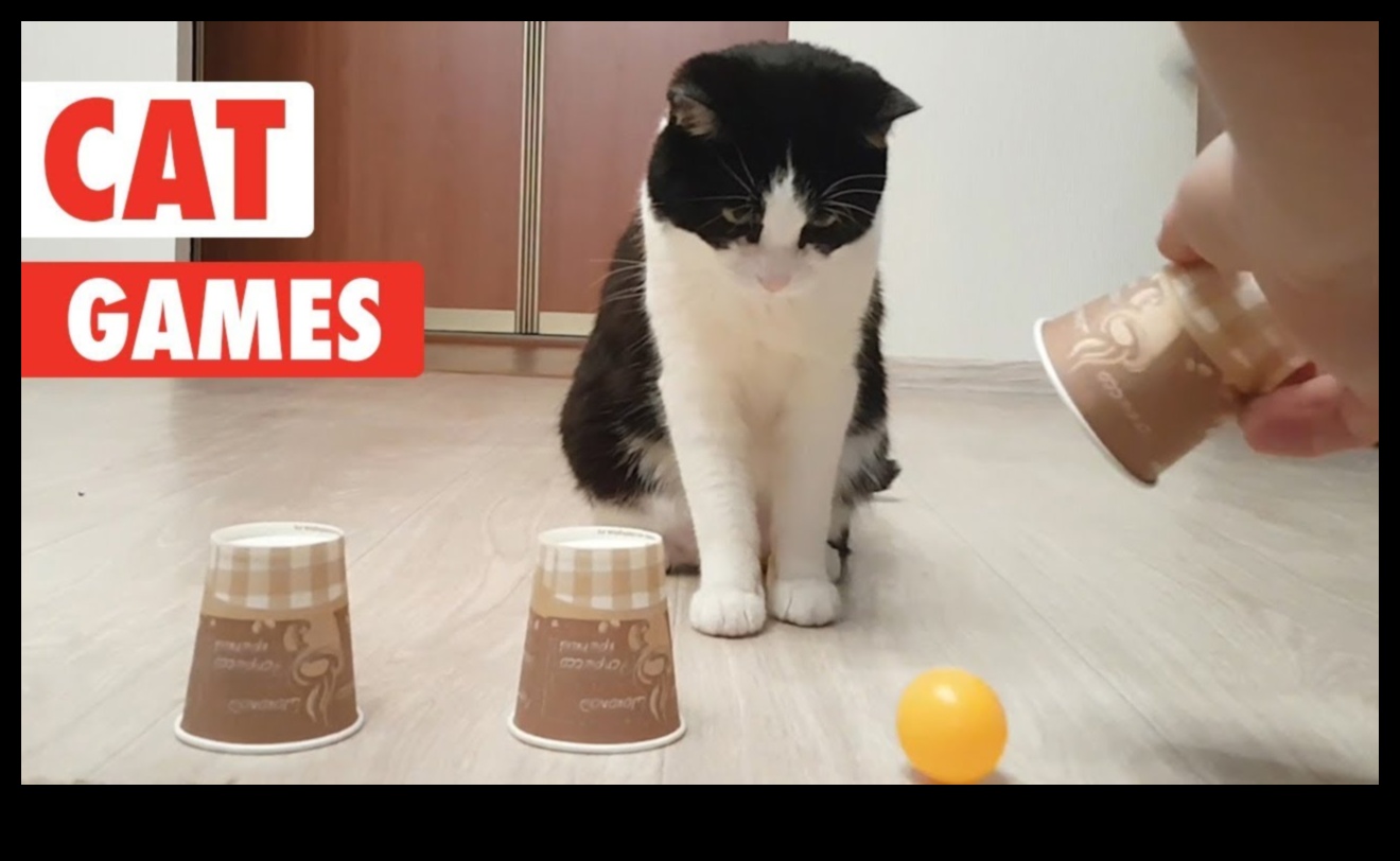 Feline Frolics: Jocuri amuzante pentru pisici jucăușe