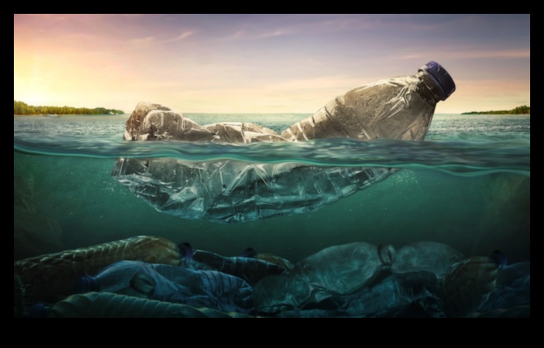 Aqua Artisans: Sărbătorirea artiștilor moderni inspirați de viața marină