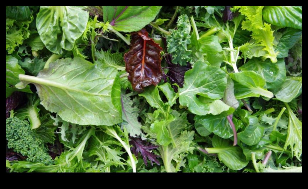 De la gene la verzi: înțelegerea căilor de biochimie nutrițională