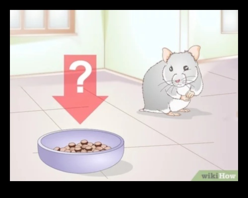 Sănătatea dentară a hamsterilor a continuat: Recunoașterea semnelor problemelor dentare