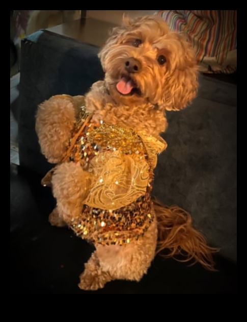 Canine Couture: Explorând lumea accesoriilor la modă pentru câini