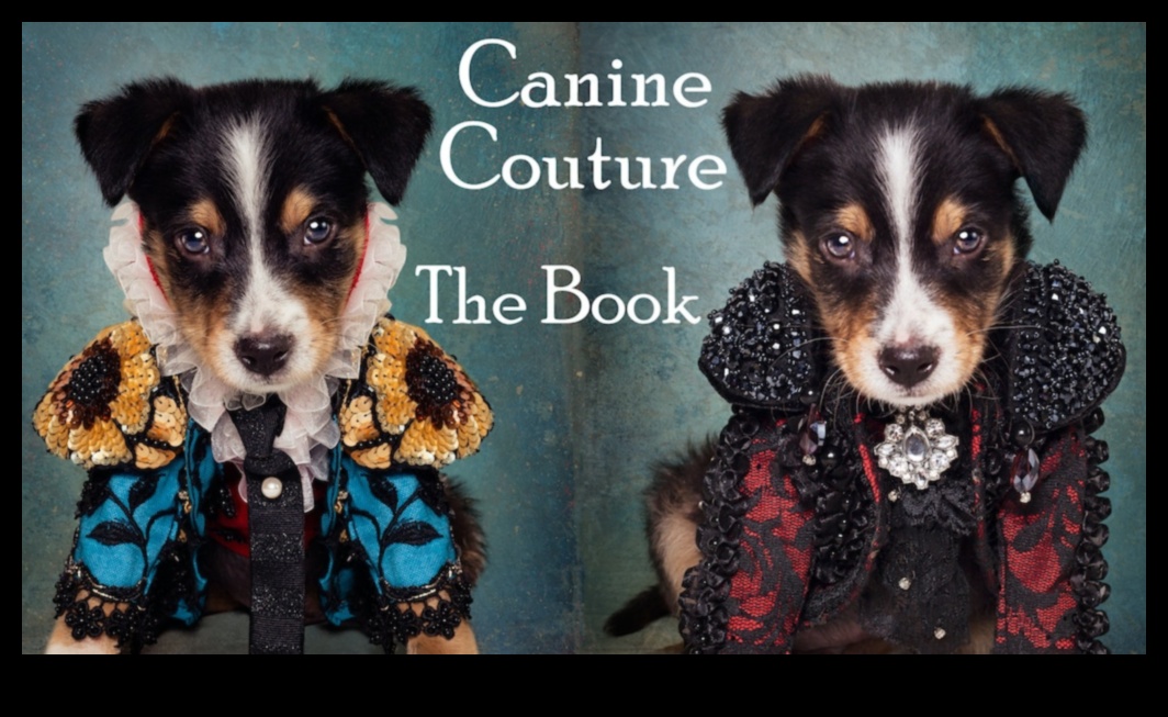Canine Couture: Explorând lumea accesoriilor la modă pentru câini