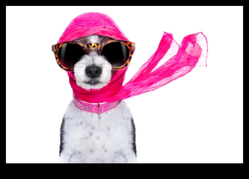 Canine Chic: accesorizați-vă câinele cu cele mai recente tendințe