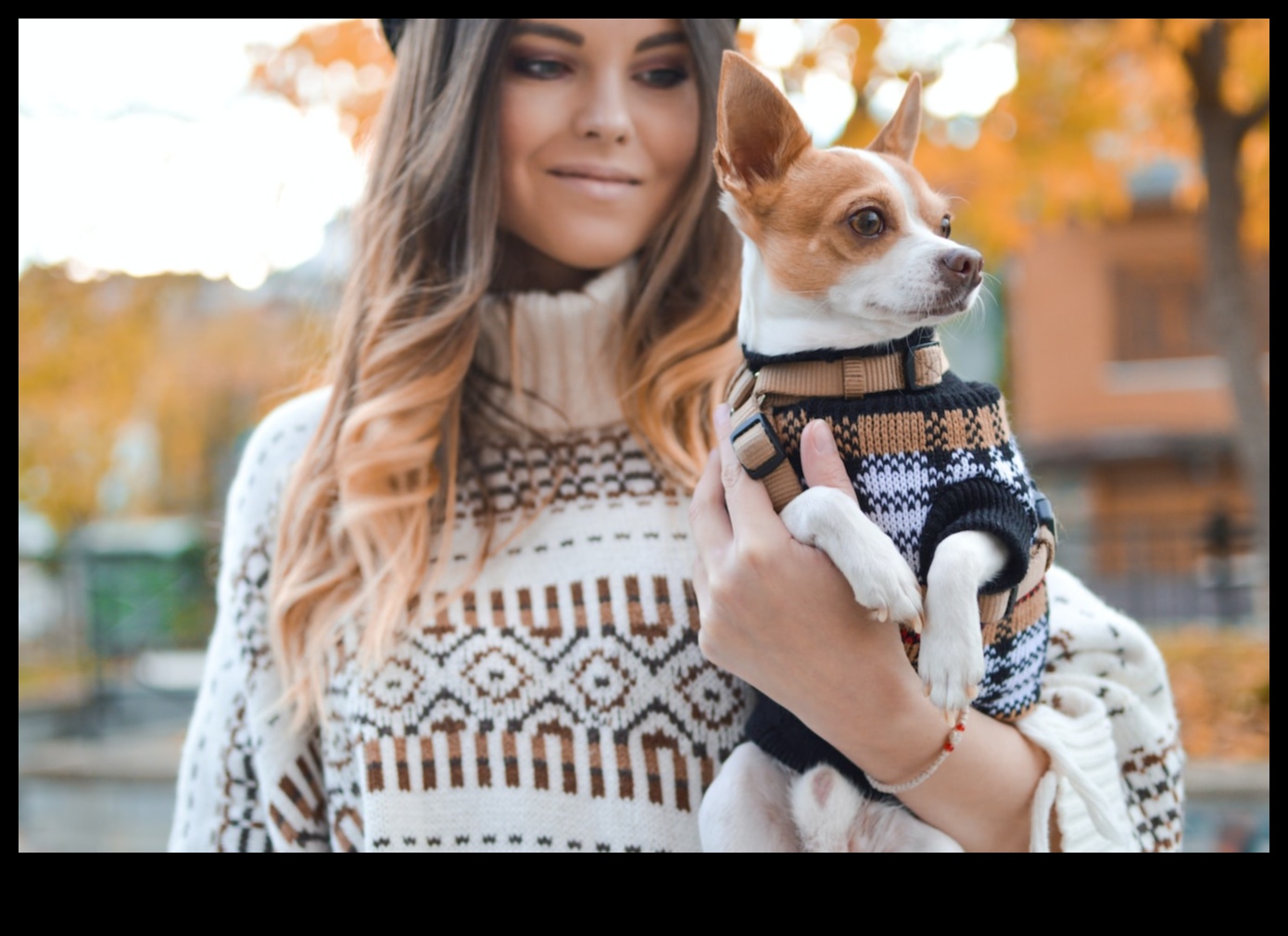 Canine Chic: accesorizați-vă câinele cu cele mai recente tendințe