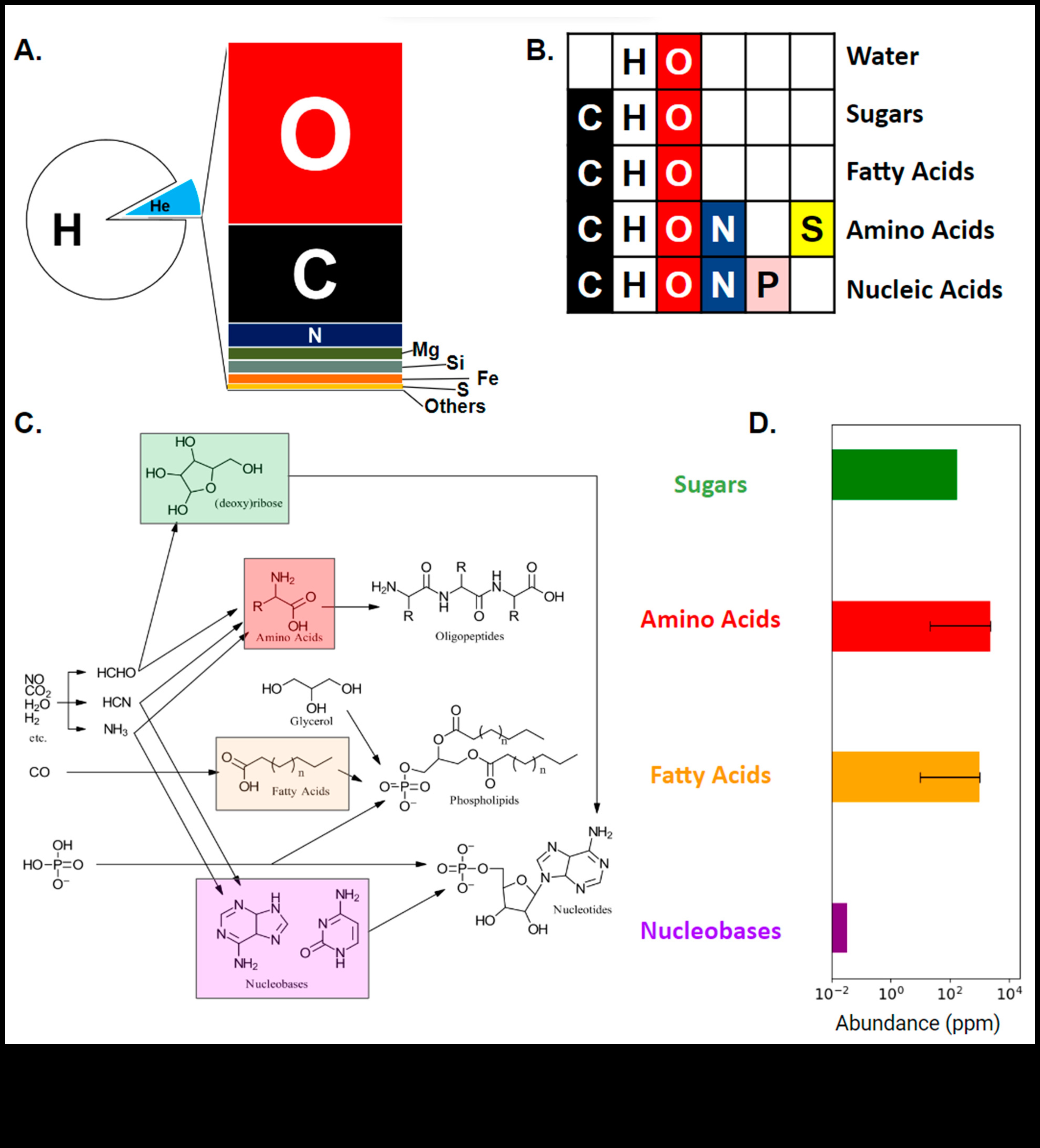 Maestria moleculara: Navigarea complexitatilor biochimiei nutritionale