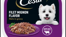 Bucătăria canină Continuare: Delicii gourmet și aventuri culinare