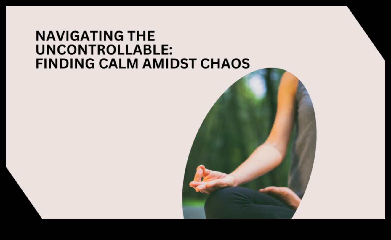 Calm în mijlocul haosului: Navigarea vieții prin meditație