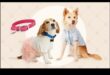 Canine Chic: accesorizați-vă câinele cu cele mai recente tendințe