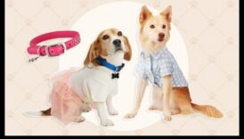 Canine Chic: accesorizați-vă câinele cu cele mai recente tendințe