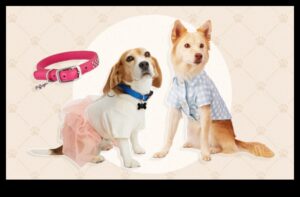 Canine Chic: accesorizați-vă câinele cu cele mai recente tendințe