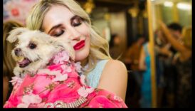 Canine Couture: Explorând lumea accesoriilor la modă pentru câini