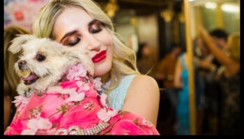 Canine Couture: Explorând lumea accesoriilor la modă pentru câini