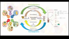 Cartografierea sănătății: o călătorie în lumea nutrigenomicei