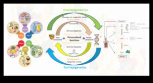 Cartografierea sănătății: o călătorie în lumea nutrigenomicei