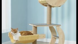 Cat Condo Crafting a continuat: Îmbunătățirea explorării verticale