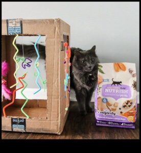 Jucării DIY pentru pisici: creați divertisment jucăuș și interactiv