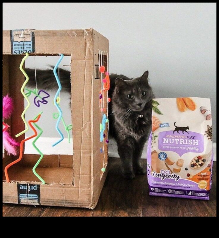 Jucării DIY pentru pisici: creați divertisment jucăuș și interactiv