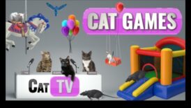 Feline Frolics: Jocuri amuzante pentru pisici jucăușe