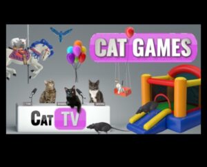 Feline Frolics: Jocuri amuzante pentru pisici jucăușe