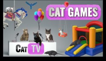 Feline Frolics: Jocuri amuzante pentru pisici jucăușe