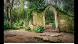 Grădinile Gotice: Teme ale naturii în expresia artistică medievală