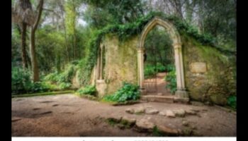 Grădinile Gotice: Teme ale naturii în expresia artistică medievală