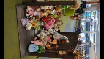 Sleepover cu animale mici: crearea unei configurații confortabile pe timp de noapte