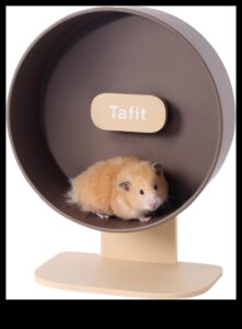 Repere ale hamsterilor Continuare: extinderea dulapului plin de farmec al micului rozător