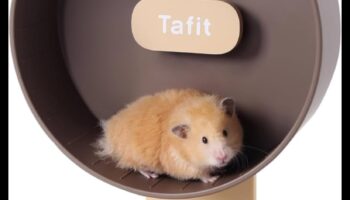 Repere ale hamsterilor Continuare: extinderea dulapului plin de farmec al micului rozător