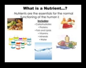 Stăpânirea macronutrienților: Navigarea în lumea nutrienților esențiali