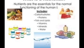 Stăpânirea macronutrienților: Navigarea în lumea nutrienților esențiali