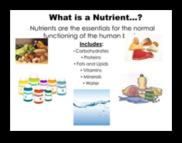 Stăpânirea macronutrienților: Navigarea în lumea nutrienților esențiali