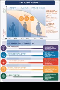 The Wisdom Plate: Explorând excelența culinară în nutriția geriatrică