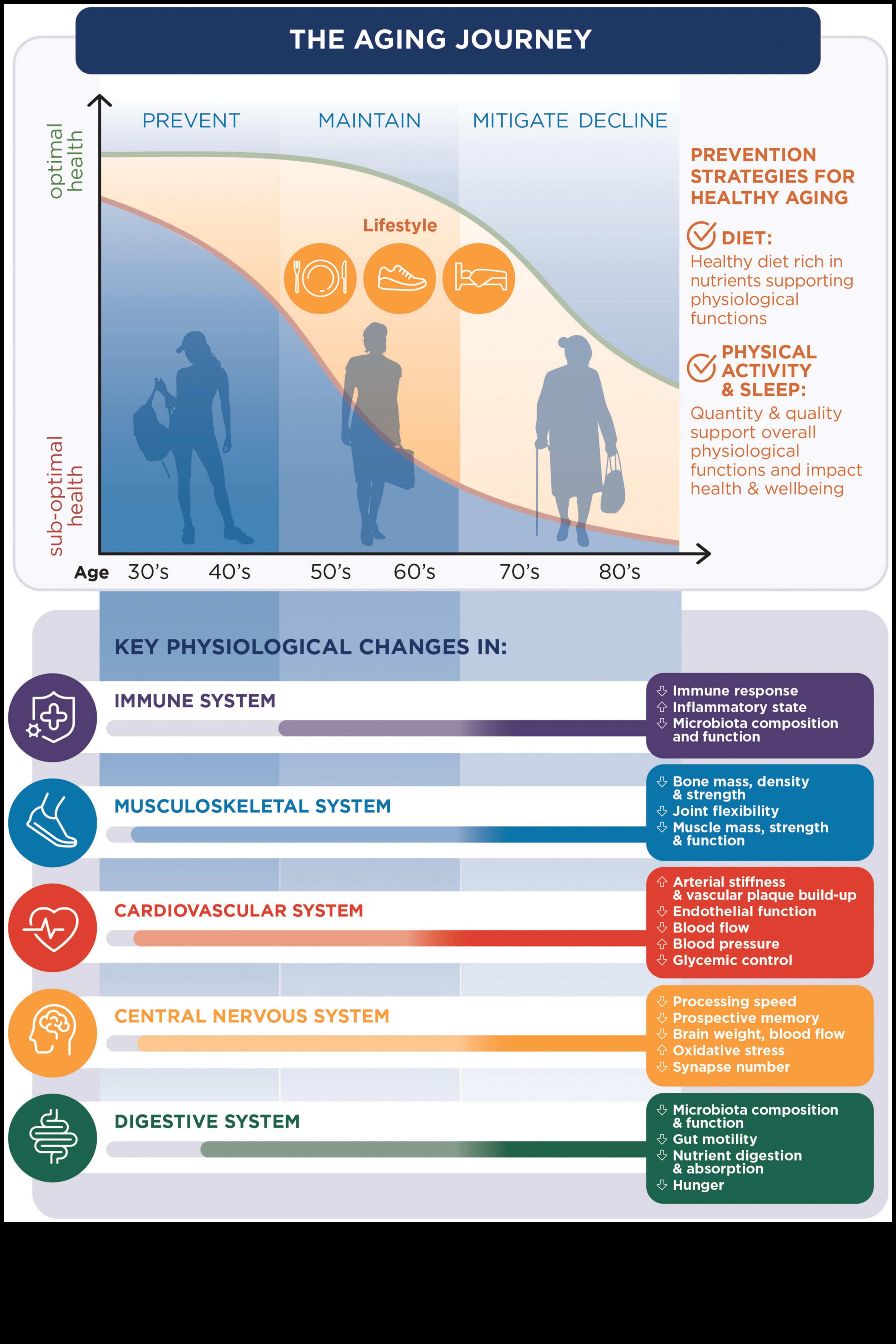 The Wisdom Plate: Explorând excelența culinară în nutriția geriatrică